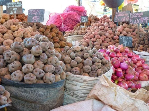 Sacos con diferentes variedades de papa nativa como papa amarilla, compis y canchan junto a cebolla roja en un mercado tradicional peruano